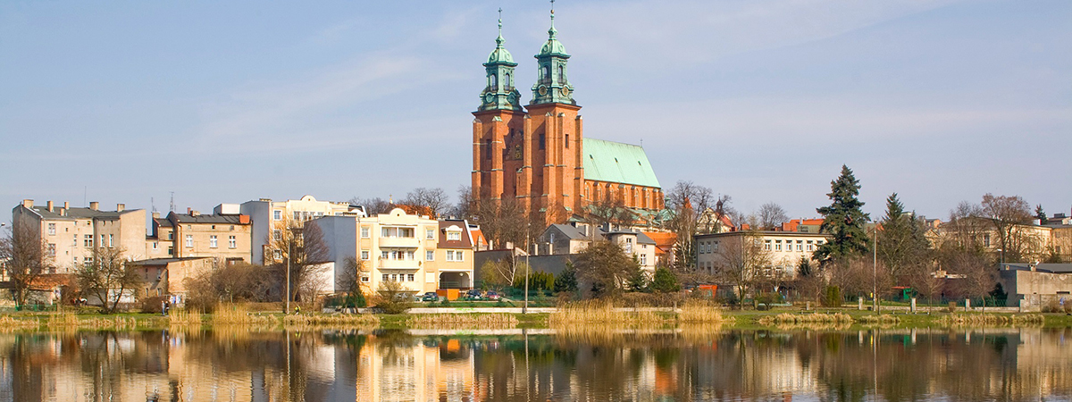 Pozycjonowanie stron Gniezno