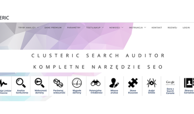 Clusteric Search Auditor - jak wykorzystać to narzędzie w trakcie pozycjonowania?
