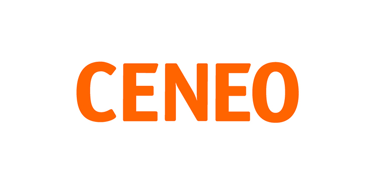 Ceneo - jak działa największa polska porównywarka cen i marketplace?