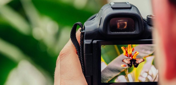 DSLR - co to? Twój przewodnik po lustrzankach cyfrowych