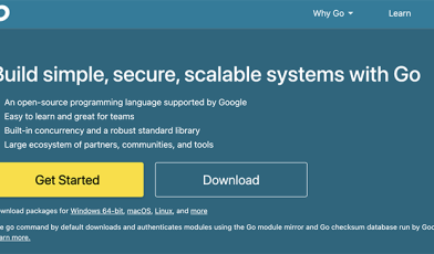 Golang - co to za język programowania i dlaczego warto się go uczyć?