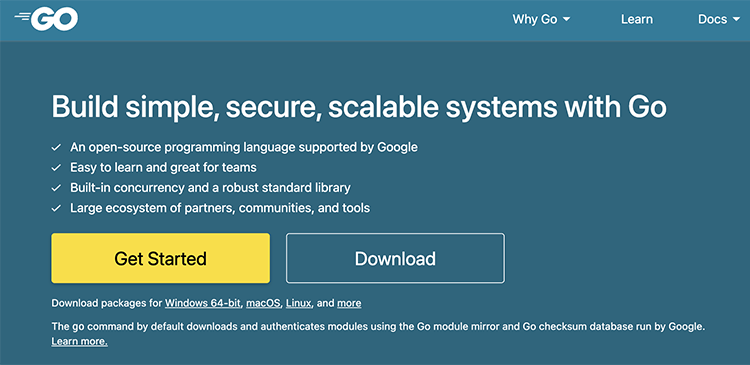 Golang - co to za język programowania i dlaczego warto się go uczyć?