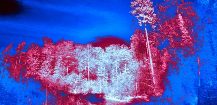 Kamera termowizyjna - co to? Jak zobaczyć świat w podczerwieni?