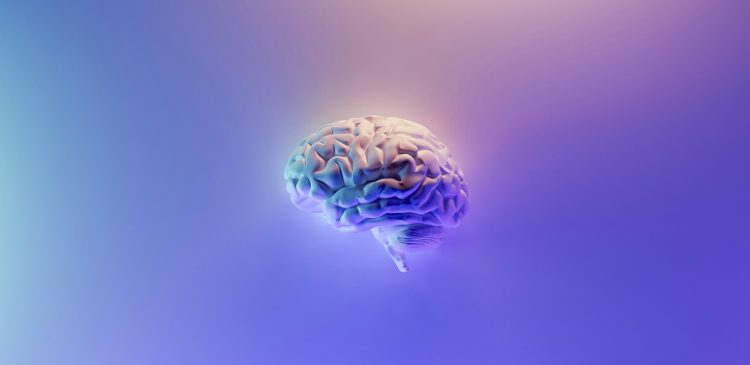 Neuromarketing - czym jest? Przewodnik po działaniu, technikach i przyszłości