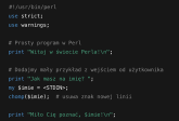 Perl - co to za język programowania i czy warto się go uczyć?