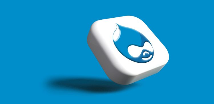 Pozycjonowanie Drupal - jak sprawić, żeby Twoja strona była widoczny w Google?