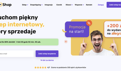 Pozycjonowanie SkyShop - jak wypozycjonować skutecznie swój sklep?
