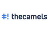 The Camels - kompendium wiedzy o polskim hostingu i jego możliwościach