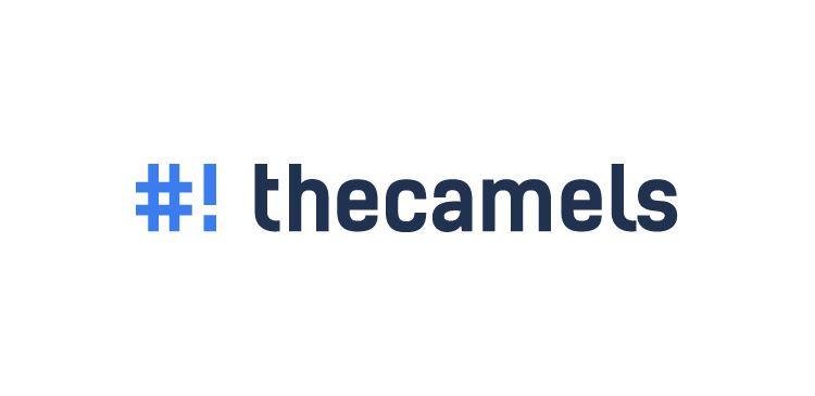 The Camels - kompendium wiedzy o polskim hostingu i jego możliwościach