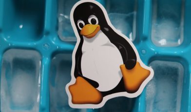 Linus Torvalds - kim jest twórca Linux i GIT?