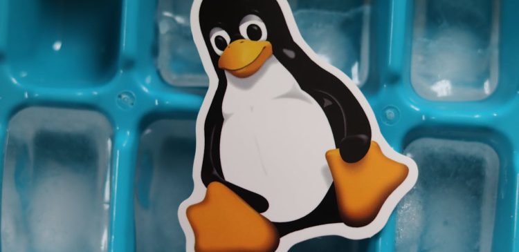 Linus Torvalds - kim jest twórca Linux i GIT?