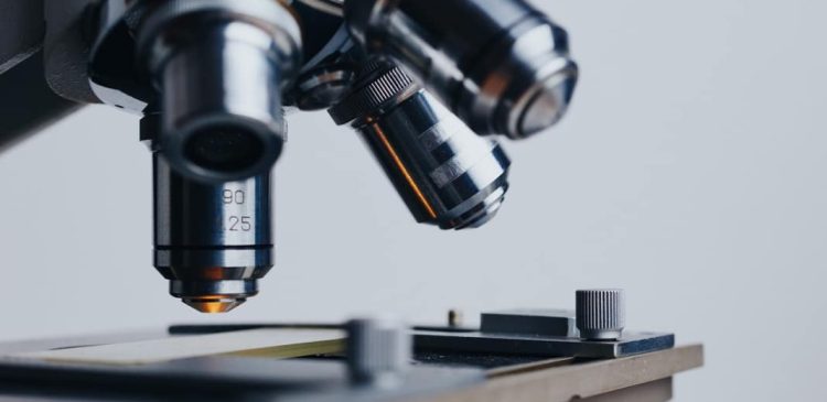 Próba kontrolna - co to? Poznaj klucz do rzetelnych eksperymentów naukowych