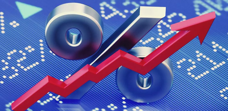 Akcje - co to? Kompletny przewodnik dla początkujących inwestorów