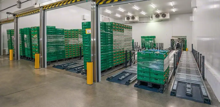 FEFO - co to? Kompleksowy przewodnik po zarządzaniu zapasami