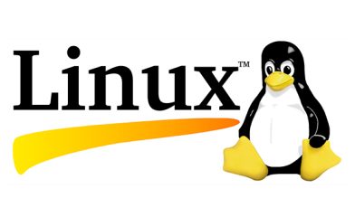 Linux - co to? Przewodnik po najpopularniejszym systemie open-source