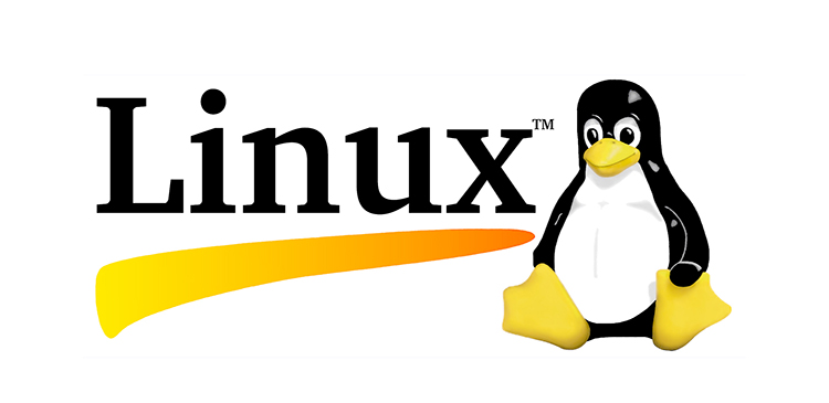 Linux - co to? Przewodnik po najpopularniejszym systemie open-source