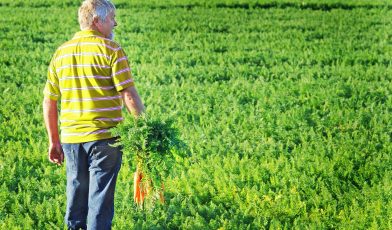 PIT 6 - co to? Wszystko, co musisz wiedzieć o deklaracji dla rolników