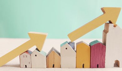 Prawo Podaży - co to? Jak działa rynek i dlaczego ceny tak się zmieniają? Poradnik