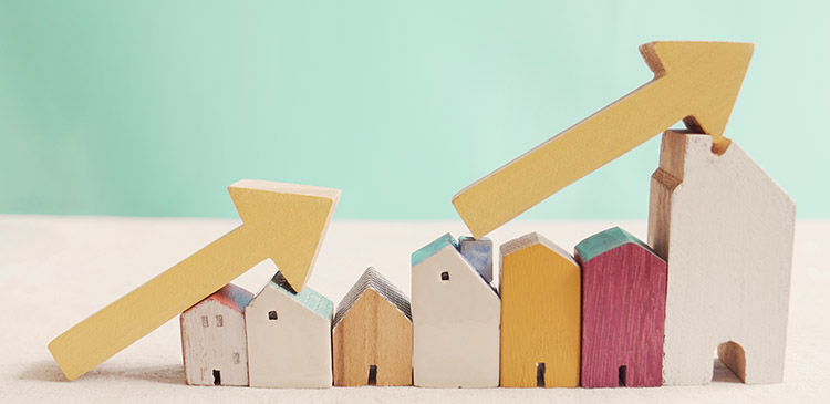 Prawo Podaży - co to? Jak działa rynek i dlaczego ceny tak się zmieniają? Poradnik