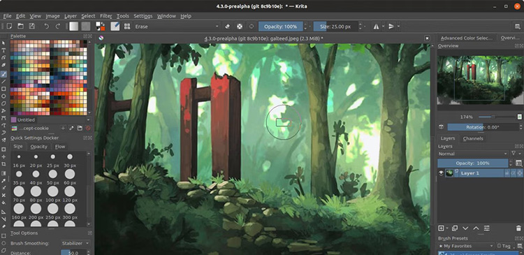 Program graficzny - co to? Wszystko, co musisz wiedzieć o tworzeniu wizualnej treści