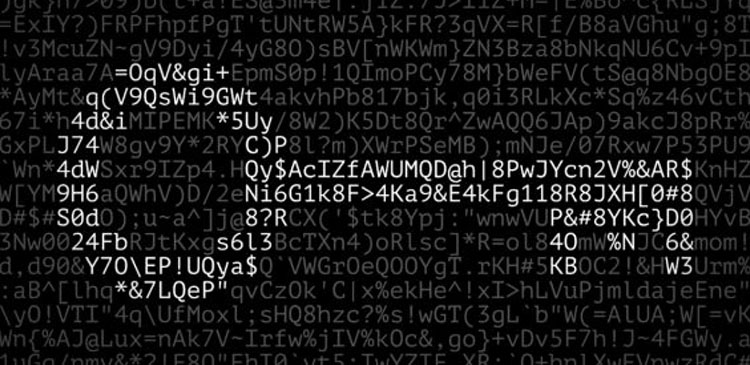 Brute Force - co to? Kompletny przewodnik po atakach siłowych