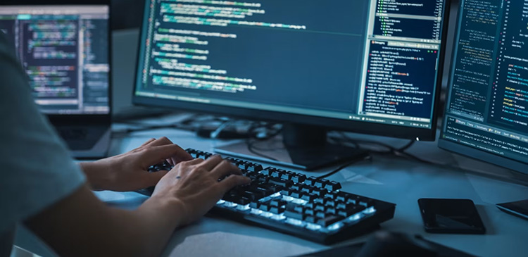 Web Developer - kto to jest i czym się zajmuje? Kompletny przewodnik po zawodzie