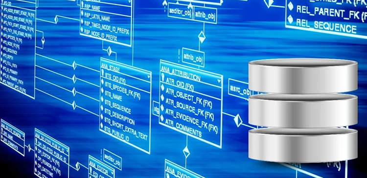 Relacyjna baza danych - czym jest i jak działa? Kompleksowy przewodnik