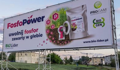 Kampania billboardowa - czym jest i jakie są jej rodzaje? Kompleksowy przewodnik