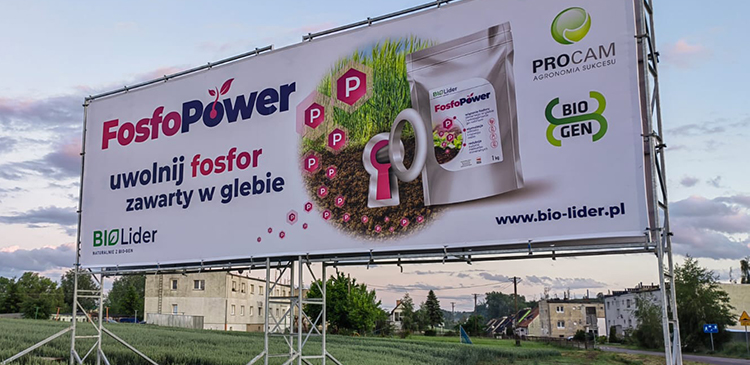 Kampania billboardowa - czym jest i jakie są jej rodzaje? Kompleksowy przewodnik