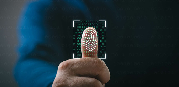Biometria - co to? Wszystko, co musisz wiedzieć o unikalnych cechach tożsamości
