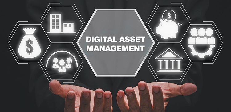 Digital Asset Management - czym jest i jak rewolucjonizuje zarządzanie zasobami cyfrowymi w Twojej firmie? Przewodnik