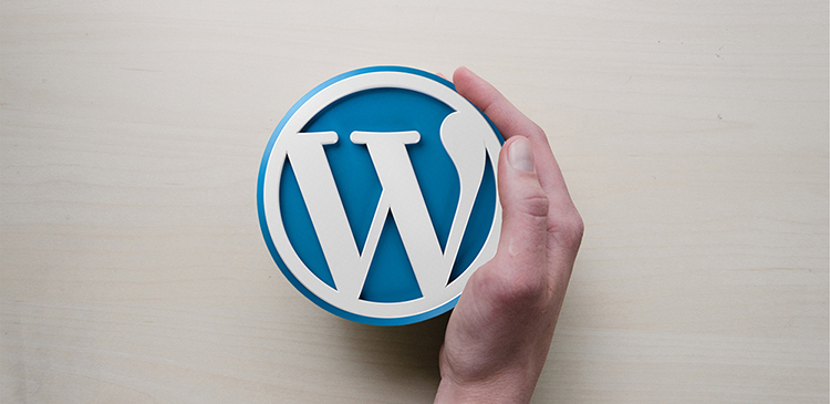 Opieka techniczna Wordpress - czym jest, na czym polega i dlaczego Twoja strona jej potrzebuje? Poradnik