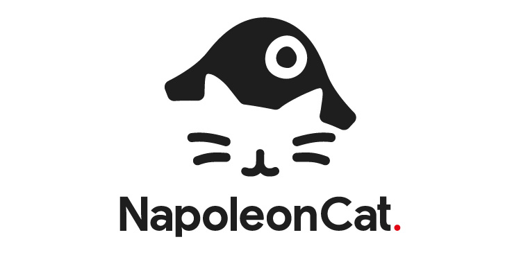 NapoleonCat - co to jest za platforma i jak działa? Poradnik