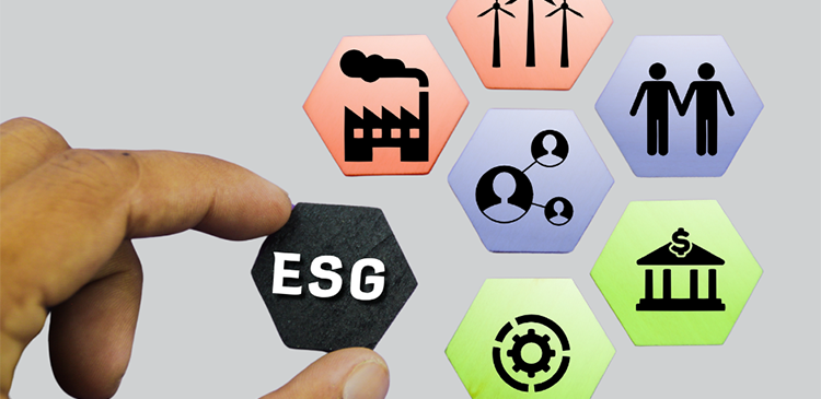 Obowiązek raportowania ESG - co to jest, kogo dotyczy i jak się przygotować? Kompleksowy przewodnik