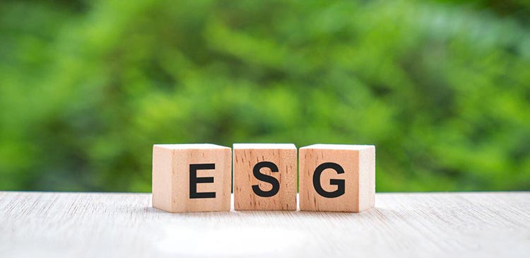 Certyfikat ESG - co to jest, jak go uzyskać i co daje firmie? Poradnik