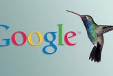Google Hummingbird - czym jest ten algorytm i jak wpływa na SEO? Poradnik