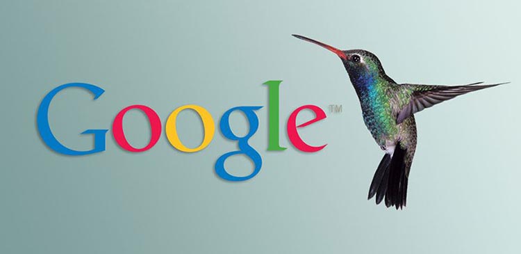 Google Hummingbird - czym jest ten algorytm i jak wpływa na SEO? Poradnik