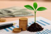 Seed capital - czym jest kapitał zalążkowy i jak go zdobyć dla swojego startupu? Poradnik