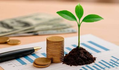 Seed capital - czym jest kapitał zalążkowy i jak go zdobyć dla swojego startupu? Poradnik
