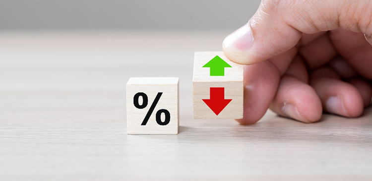 Stopa zysku - czym jest w finansach firmy i jak wpływa na jej sukces? Przewodnik